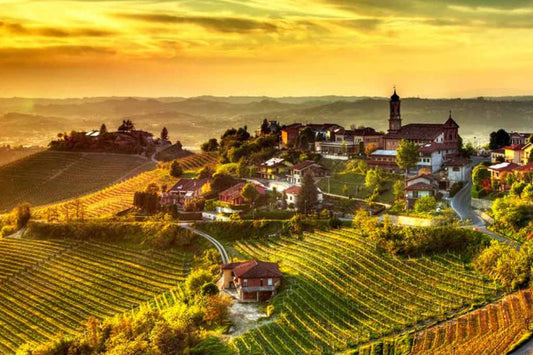 Cenni storici vitivinicoltura Piemonte